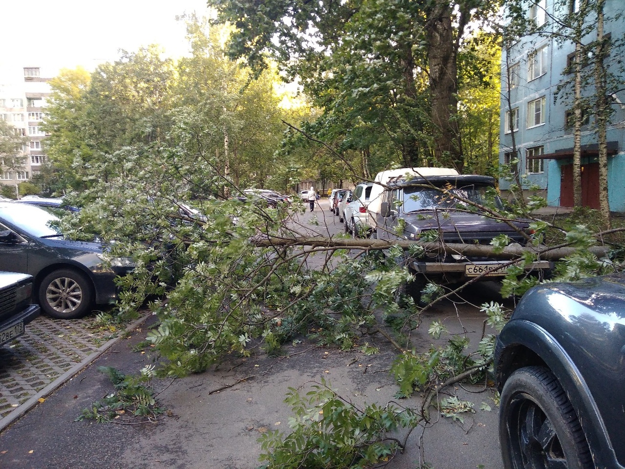 Петербург снова штормит: водителей ждут разбитые «лобовухи» - Мойка78.ру﻿  Новости СПб