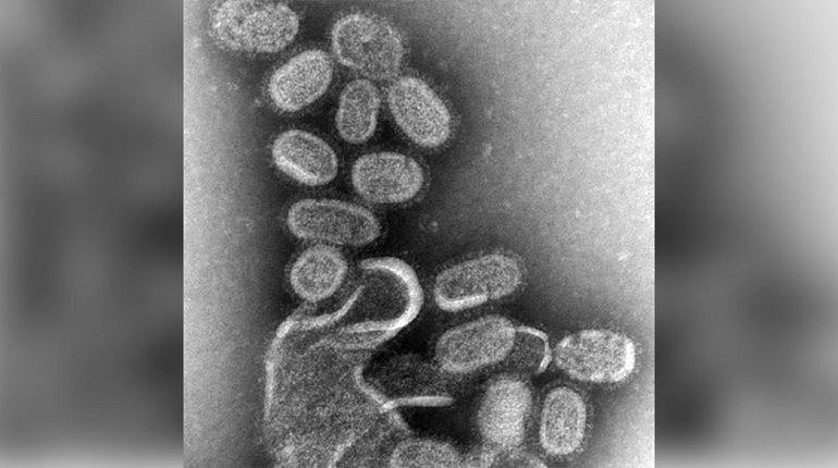 CDC расследует массовую вспышку гриппа в Мичиганском университете