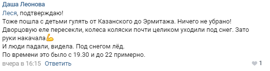 Снег в Петербурге засыпал совесть коммунальщиков