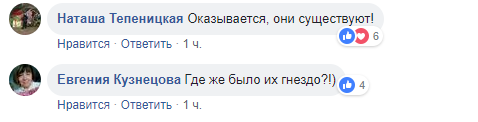 Жители Петроградки приняли шествие 200 дворников за флешмоб актеров "Ленфильма"