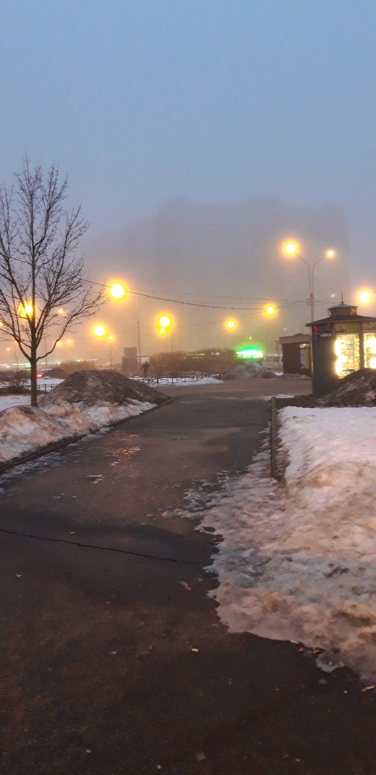 Петербуржцы делятся фотографиями окутанного туманом города