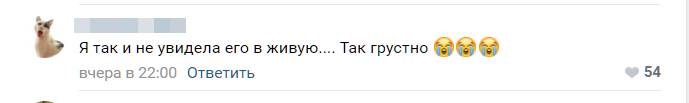 Невозможно без слез: петербуржцы отозвались на пожар в Нотр-Даме