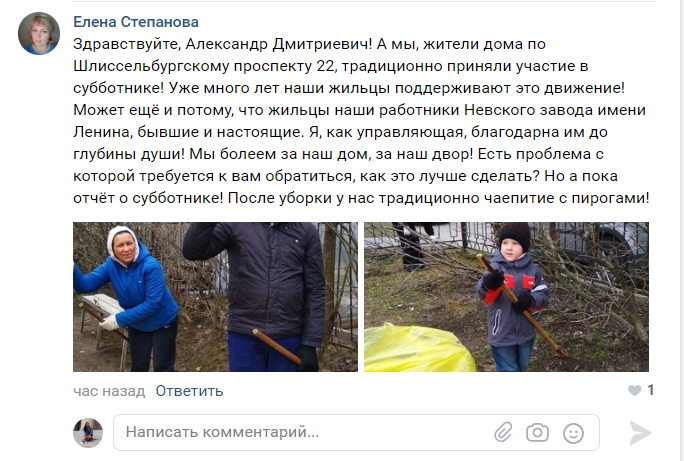 Катание на вейкбордах и фото в соцсетях: в Петербурге прошел субботник