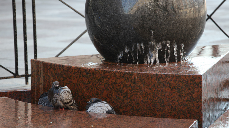 В Петербурге семь фонтанов отключат на помывку в последние дни лета