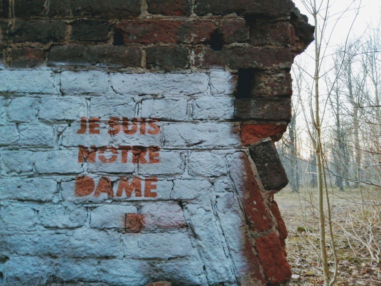 На разрушенном Потемкинском дворце появилось граффити Нотр-Дама