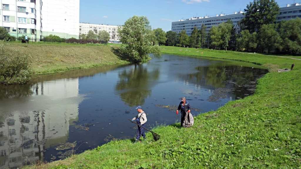 Ульянка округ санкт петербурга. Река новая Ульянка. Ульянка район Санкт-Петербурга. Ульянка СПБ. Ульянка СПБ район.