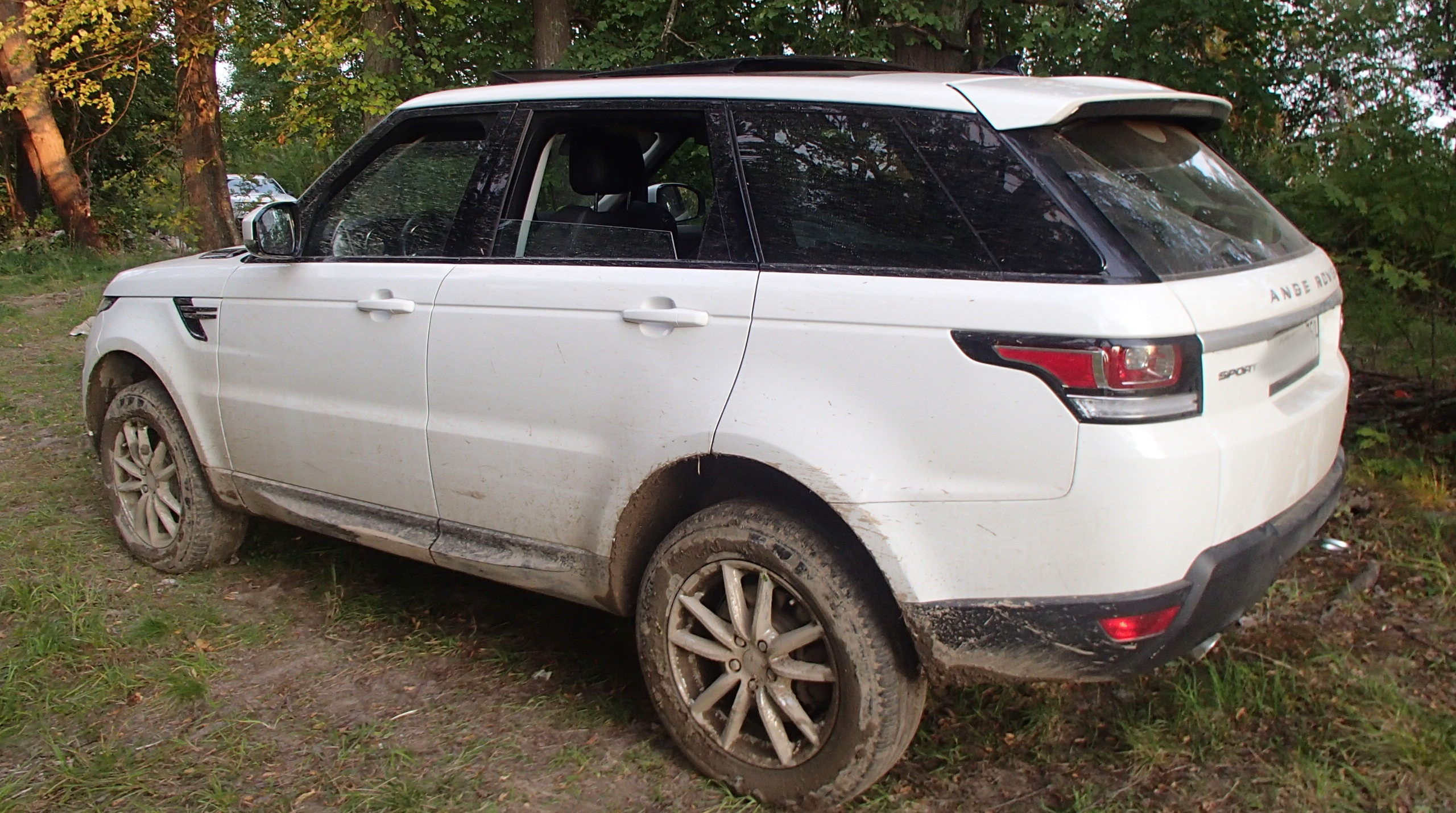 Угнанный в Петербурге белый Range Rover Sport нашли в лесу Ленобласти -  Мойка78.ру﻿ Новости СПб