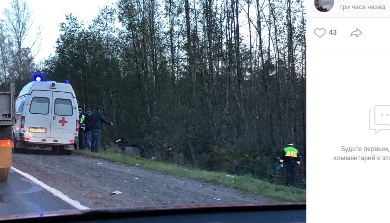 Автомобиль улетел в кювет на Киевском шоссе: водитель скончался