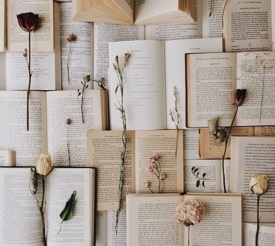 Книжный фестиваль Книжный фестиваль