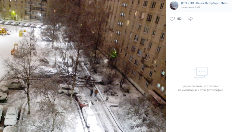 ДТП и деревья на машинах: Петербург разгребает последствия ночного снегопада