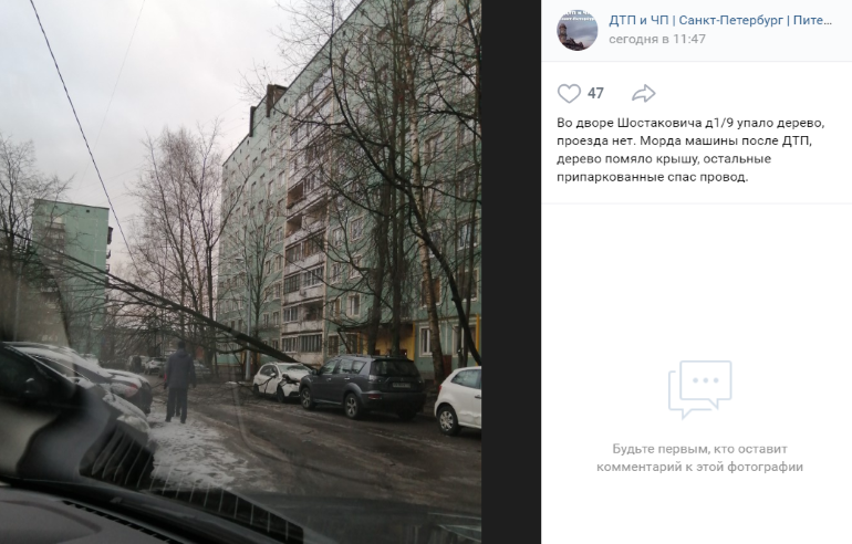 ДТП и деревья на машинах: Петербург разгребает последствия ночного снегопада