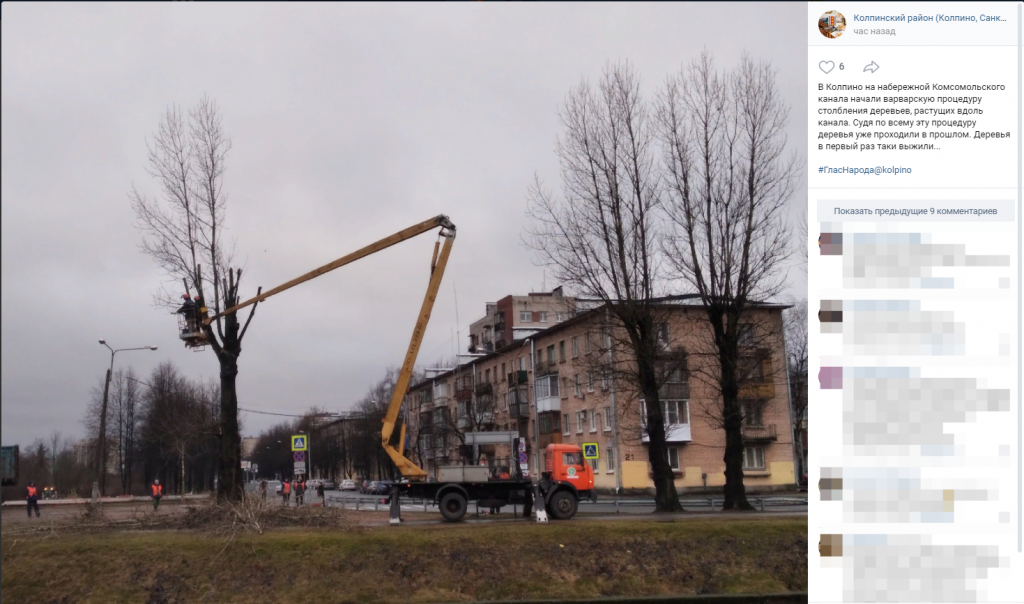 Работа в колпино и районе. Деревья Колпино. Заброшки Колпинского района. Как зовут жителей Колпино. Столбление деревьев в Санкт Петербурге.