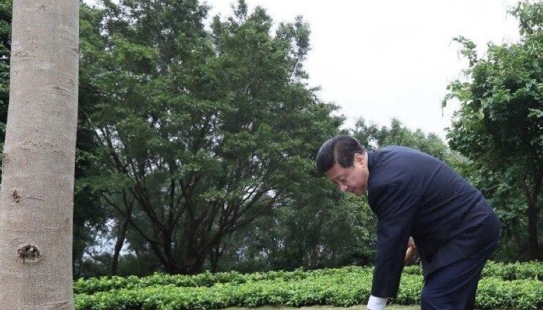 Глава КНР Си Цзиньпин продолжает дело своего отца