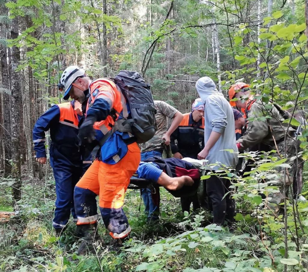 Спасатели ищут в лесу