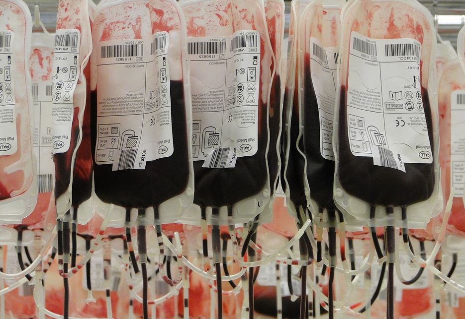 Из-за вакцинации в Петербурге и других городах России заканчивается донорская кровь