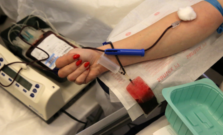 В Петербурге и Ленобласти стало больше доноров крови