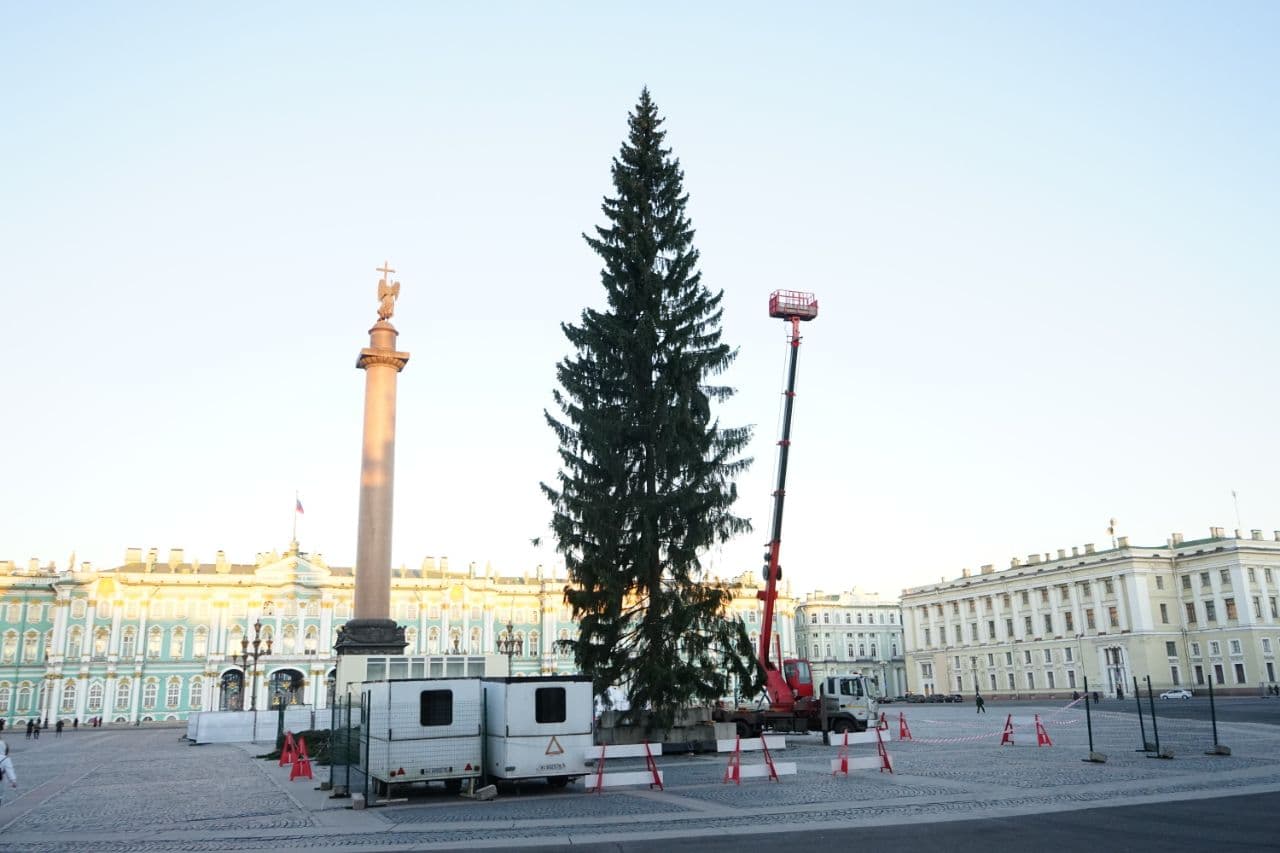 елка на дворцовой площади