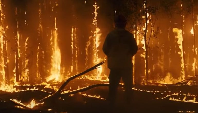 Сгорели камеры. Лесные пожары в СПБ. СПБ пожар в лесу. Фото огонь из трейлера.