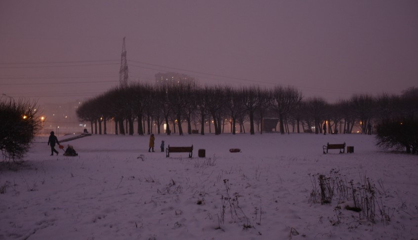 Скелет в парке