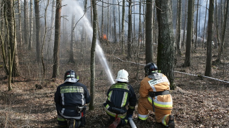 В Ленобласть поступила новая техника для борьбы с лесными пожарами