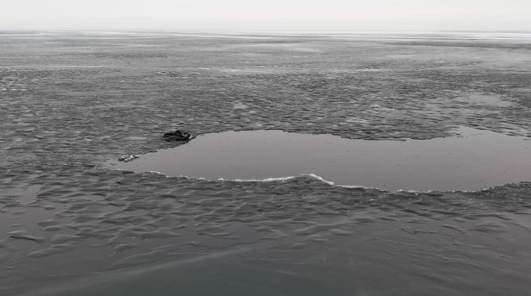 Мужчина провалился под лед Ладожского озера и погиб