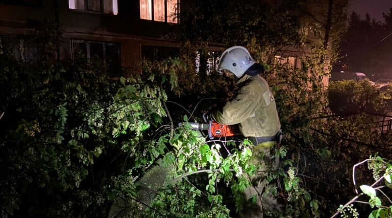 Из-за грозы и порывистого ветра в Петербурге пострадал один человек