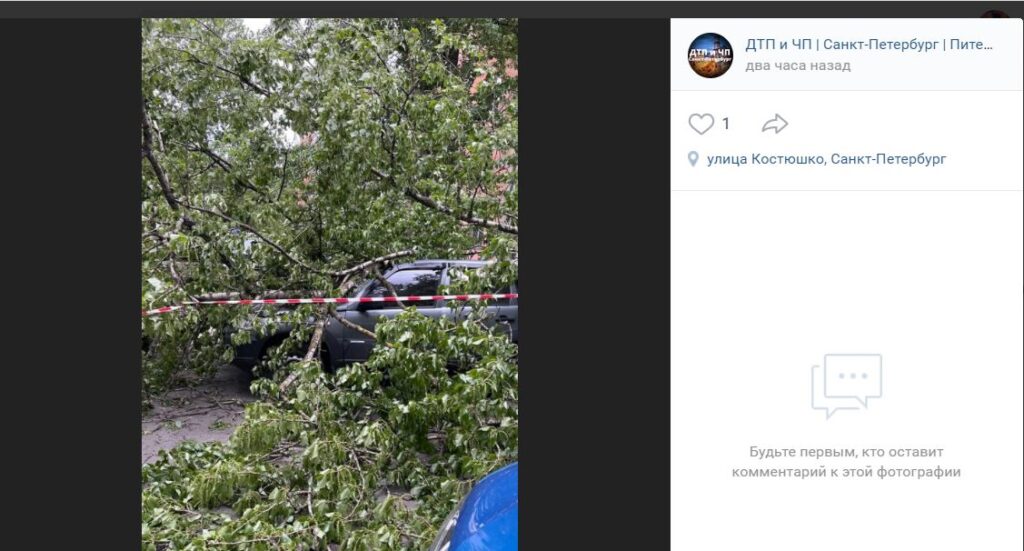 Орбакайте упала в питере. Дерево упало в Рыбацком СПБ. Авария дерево упало на машину.