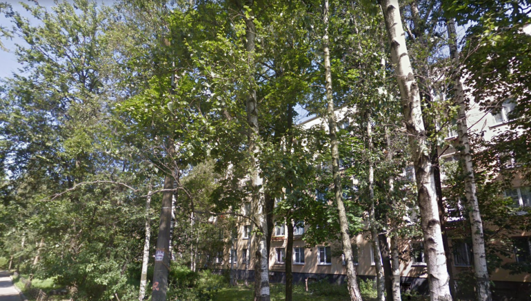 Пенсионерка зарезала мужа на юго-западе Петербурга