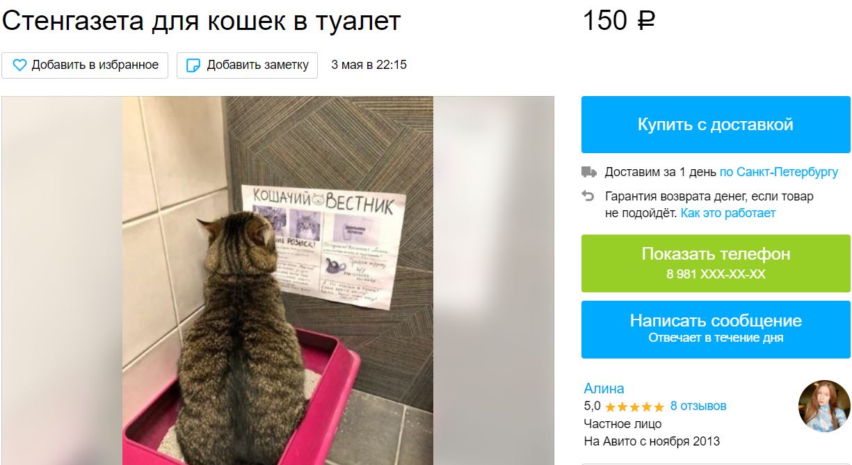 СМИ для какающих котиков выставили на продажу в Петербурге | moika78.ru -  Новости СПб