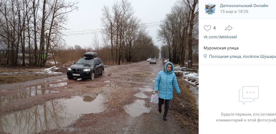 Жители Детскосельского обратятся к Путину с просьбой повлиять на ремонт Муромской улицы