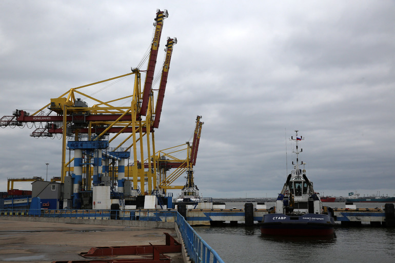 Границы морского порта Усть-Луга расширили для строительства 