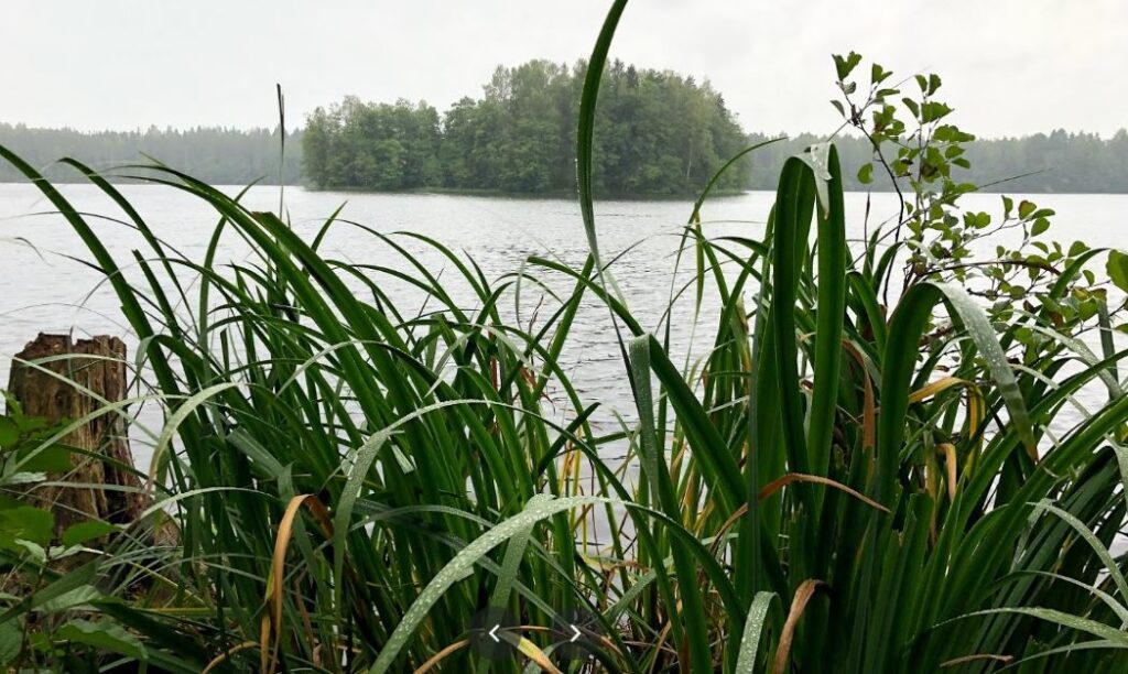 В Кирилловском озере утонул 10-летний мальчик, прыгая с надувного матраса