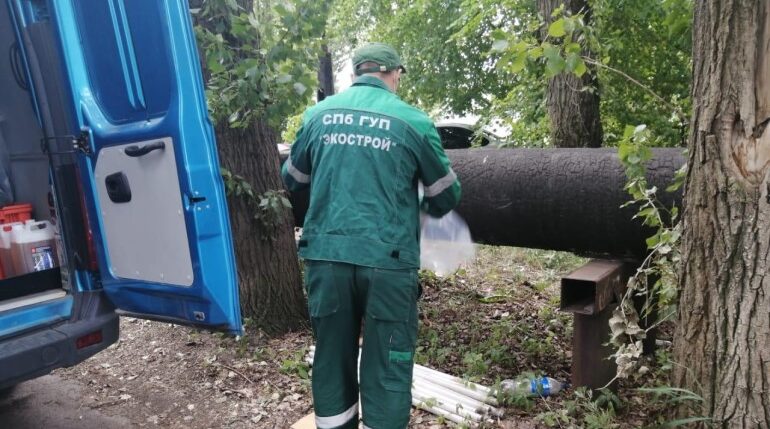 Петербуржцы обращались в экологические службы 140 раз за неделю
