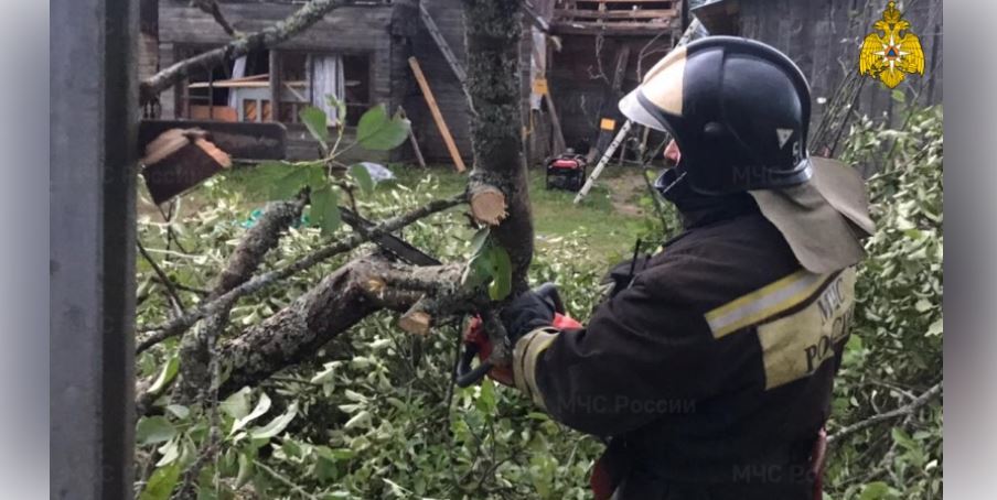 Тверскую область настиг ураган: три человека погибли и десять пострадали