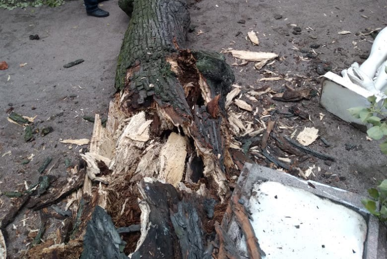 Карталы стройплощадка 14. Дерево упало на дом. Черешчатый дуб в лисьем носу. Ветер ломает деревья. Дерево не выдержала.