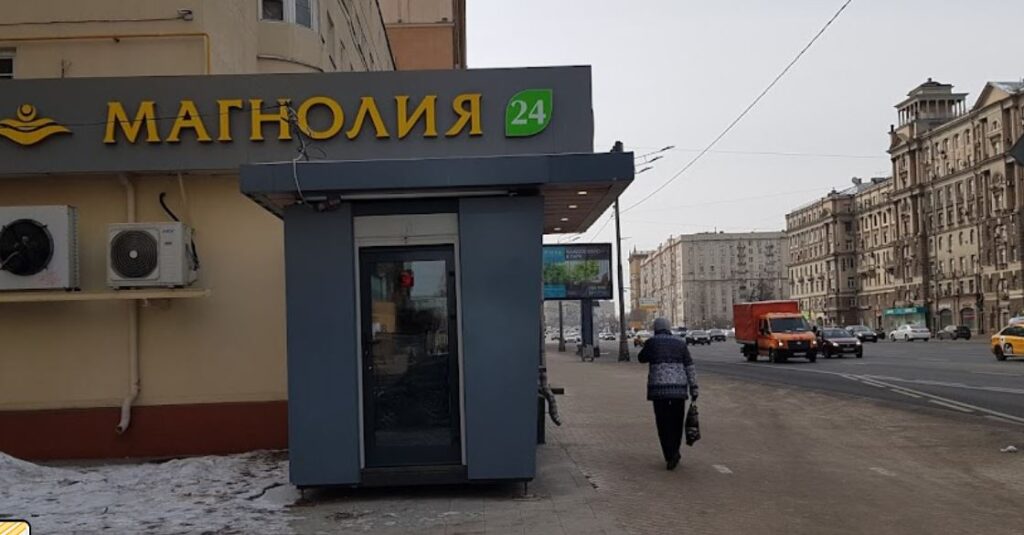 магазина «магнолия» на кутузовском проспекте. , 5/3 москва. магнолия магазин москва. кутузовский просп. кафе магнолия омск.