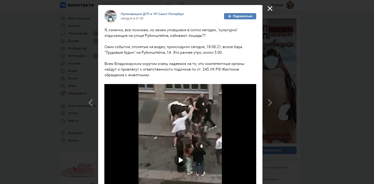 В центре Петербурга пьяная молодежь избила лошадь