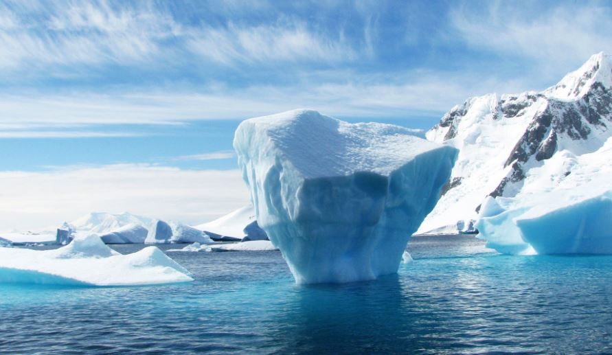 Британские ученые обнаружили живых существ на дне океана в Антарктиде