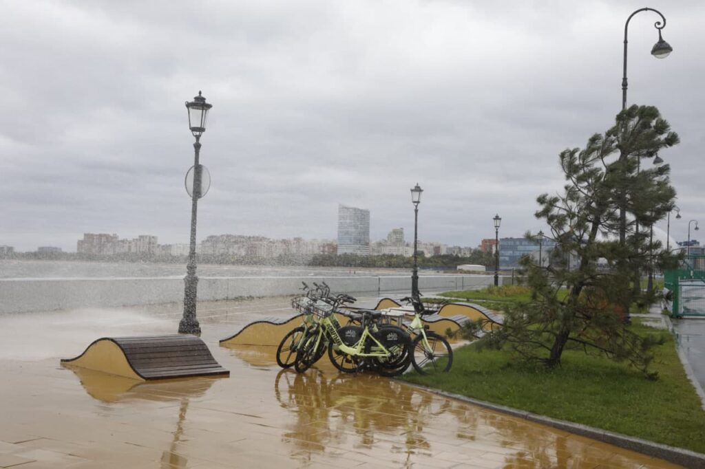 МЧС: ветер в Петербурге разгонится до 21 м/с 