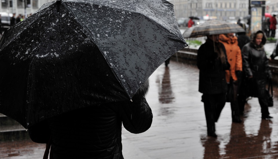 Петербуржцы промокнут под дождем в понедельник, 16 мая