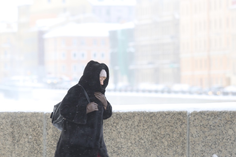 Сильный ветер и снегопад накроют Петербург в четверг