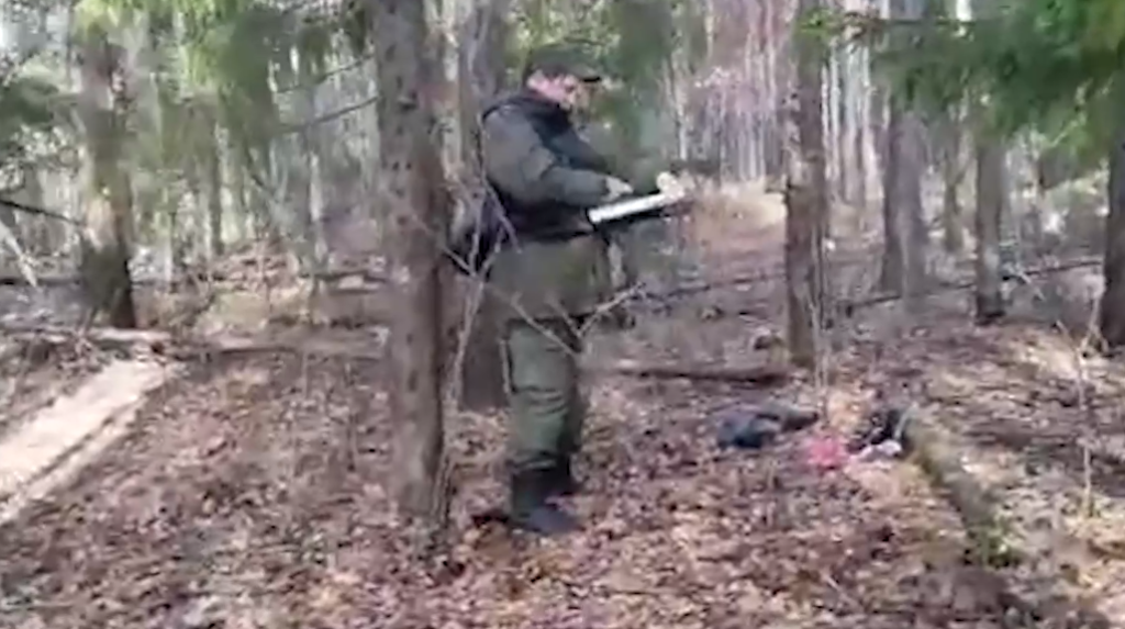 Тело девушки нашли в лесу.