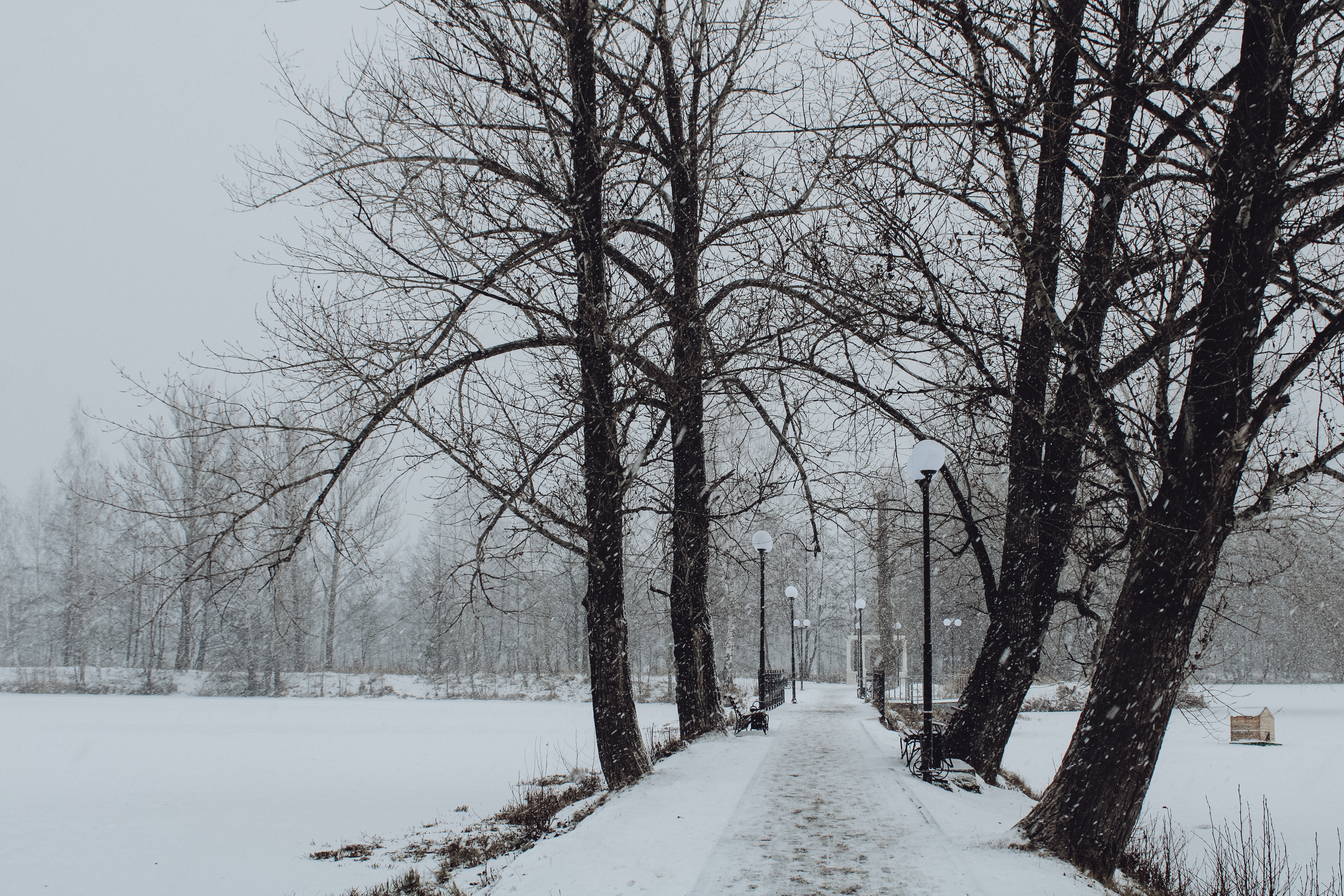 Какую ждем зиму. Небольшой снег. Климат города. Холодная погода. Воронежский край зима.