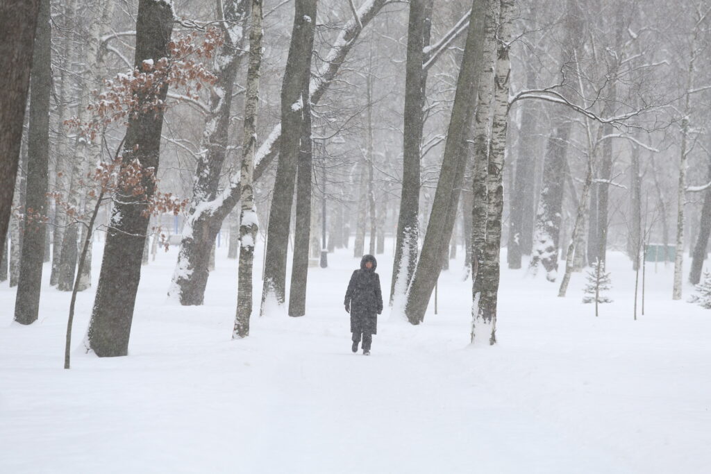 Петербург скоро накроет снежный циклон