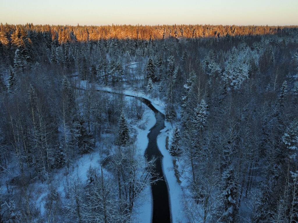 11 градусов. холодно в ленобласти. холодно в ленобласти. холодно в ленобласти. холодно в ленобласти.