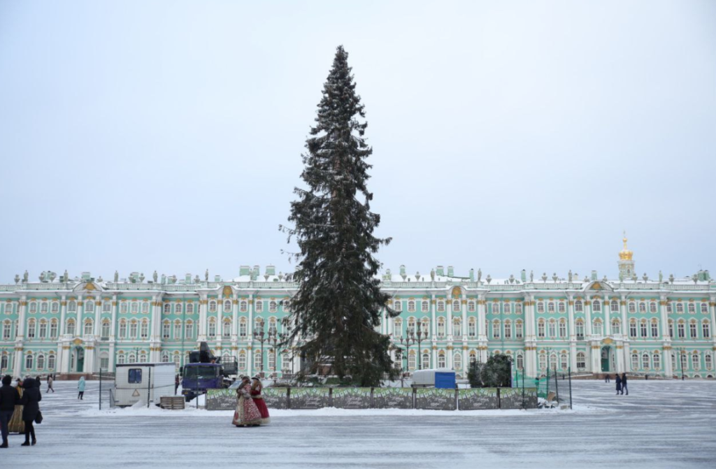 На Дворцовой площади установили главную елку Петербурга
