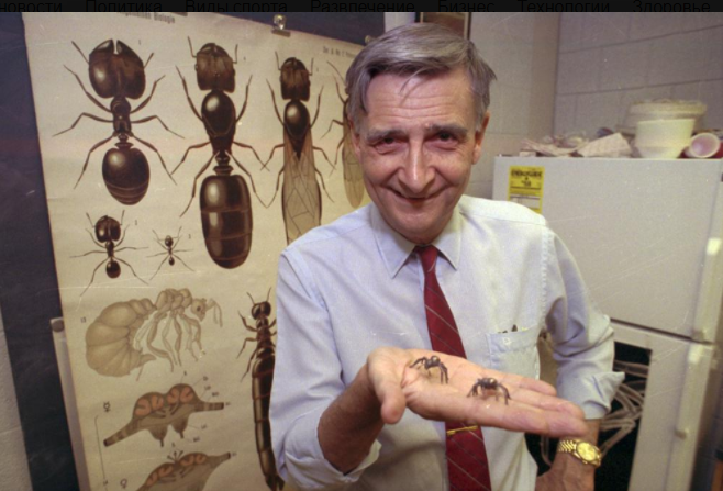 Гарвардский биолог Эдвард О. Уилсон, известный как «человек-муравей», умер в возрасте 92 лет