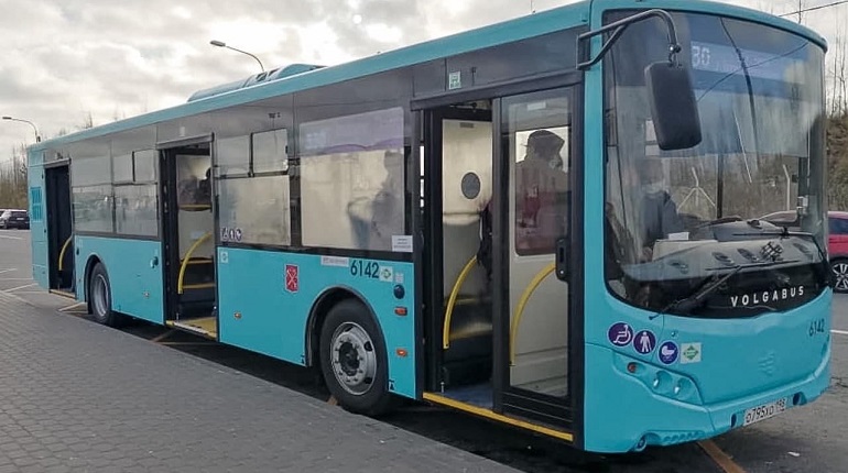 В Петербурге автобусы на газе появятся еще на 4 маршрутах