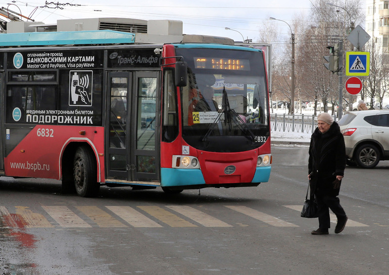 Сколько стоит автобус. Автобусы в питере. Новые автобусы спб. Автобус 239 спб. Маз 203 невский.