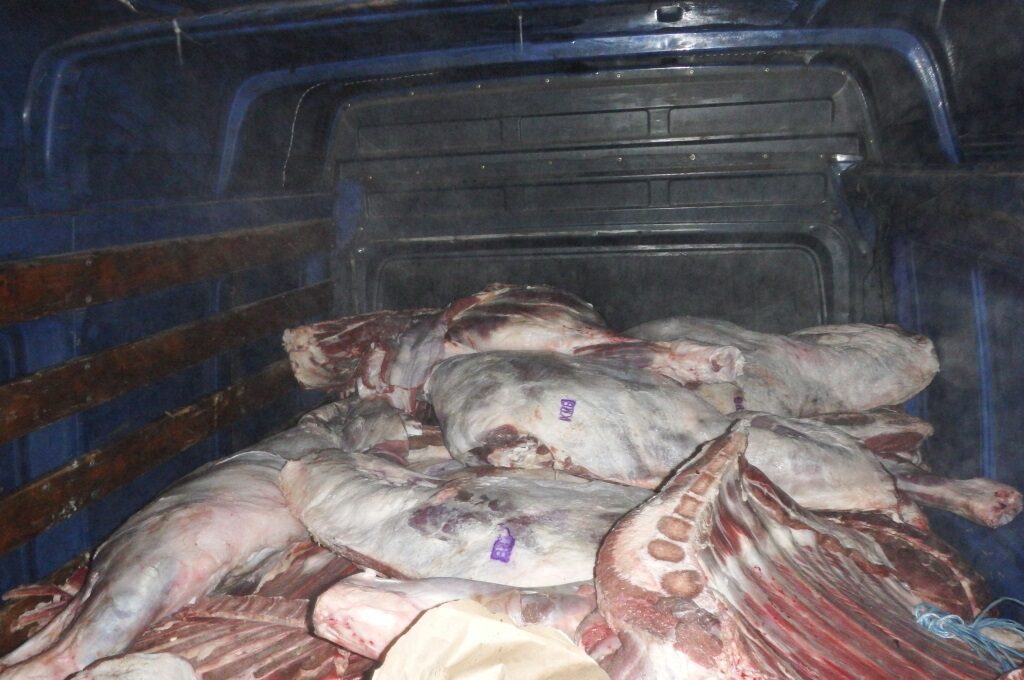 В Петербург пытались доставить 4,5 тонны потенциально опасной белорусской говядины